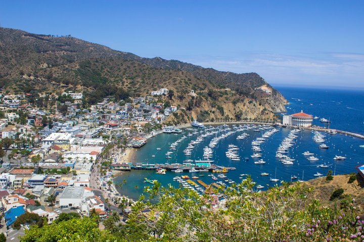 Discover Avalon: Catalina Scenic Tour - Photo 1 of 4
